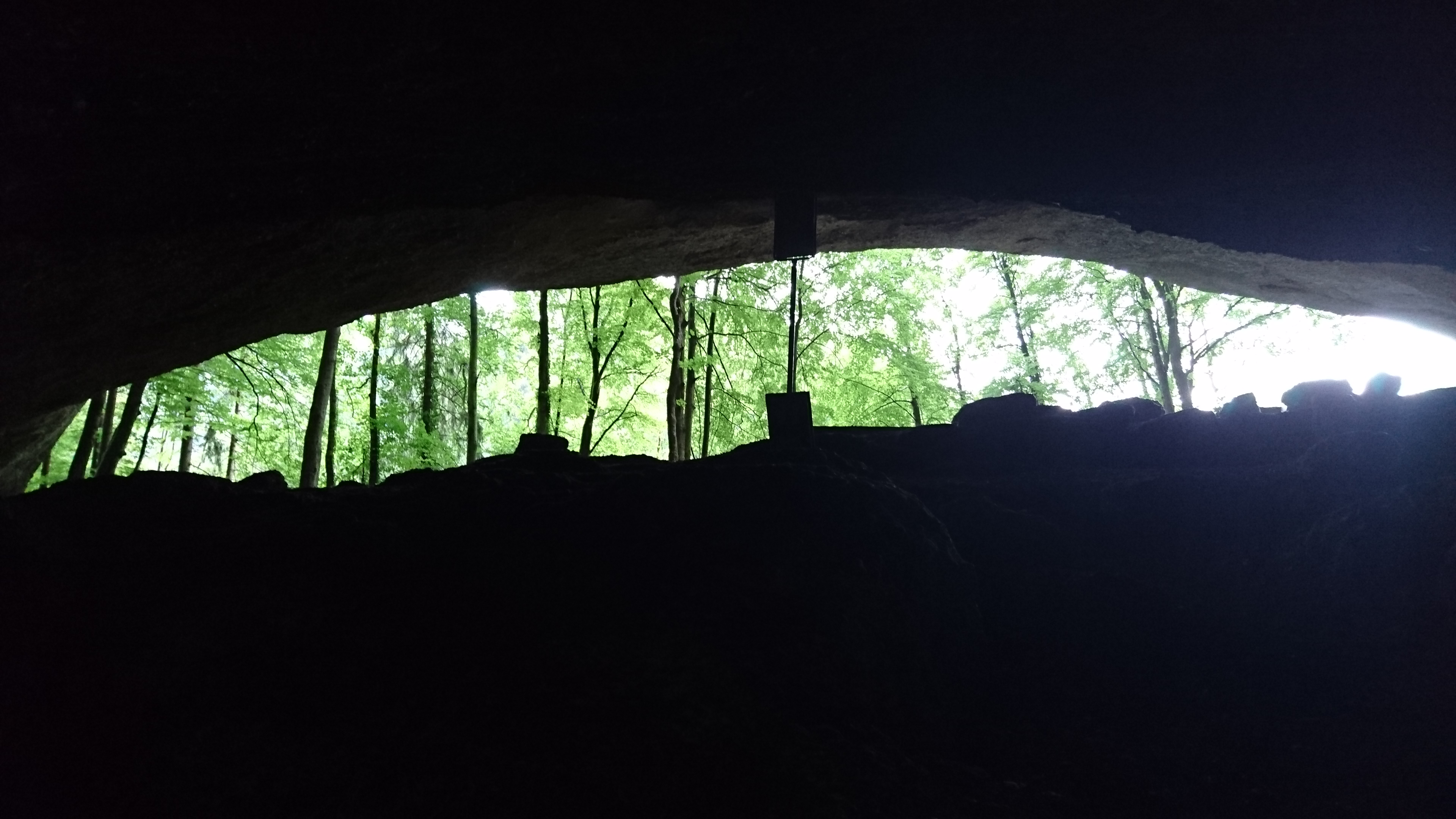 Blick aus einer dunklen Höhle hoch zu einem schmalen Streifen an hellem, grünem Wald